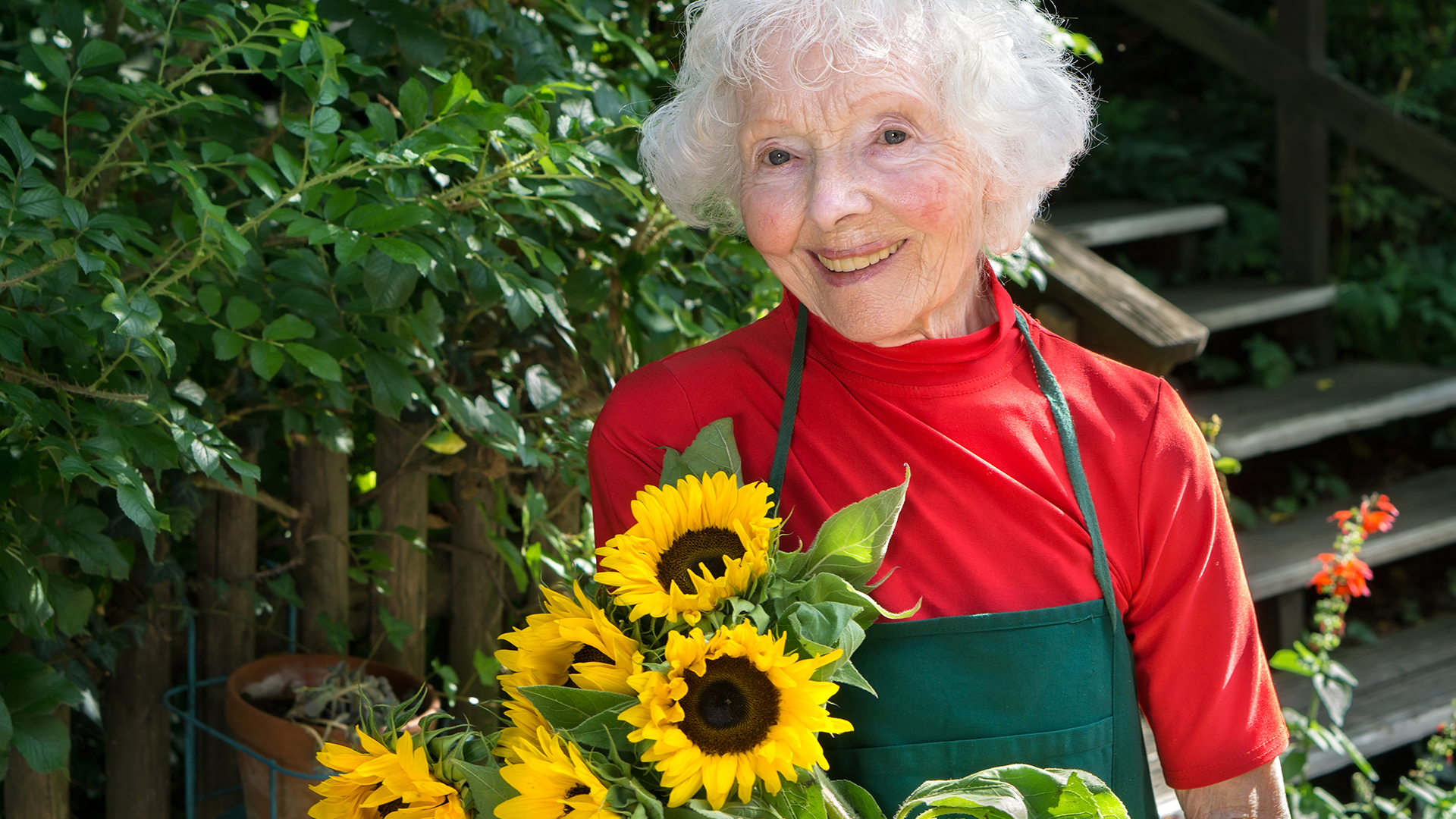 11 Outdoor Activities for Seniors | The Village Health Care Center